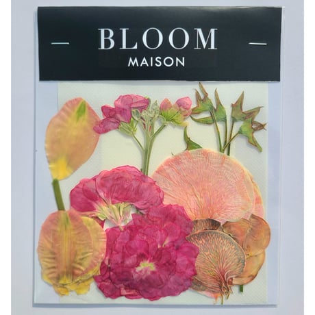 押し花｜花材セット スイートピー Pressed Flower Kit インテリア・ギフト・ウェルカムボードなどのハンドメイドに　F-856 BLOOM MAISON