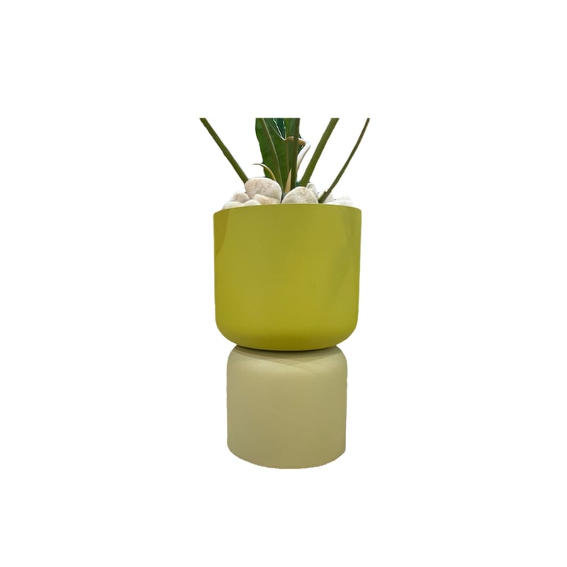 フィロデンドロン ビレッティア POTset | PLANTADOR ONLINESTORE フィロデンドロン ビレッティア POTset | PLANTADOR ONLINESTORE