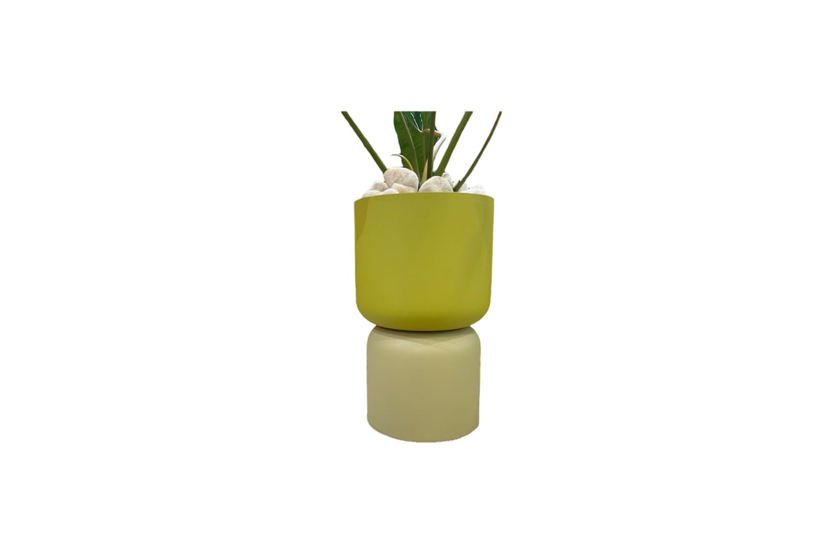 フィロデンドロン ビレッティア POTset | PLANTADOR ONLINESTORE