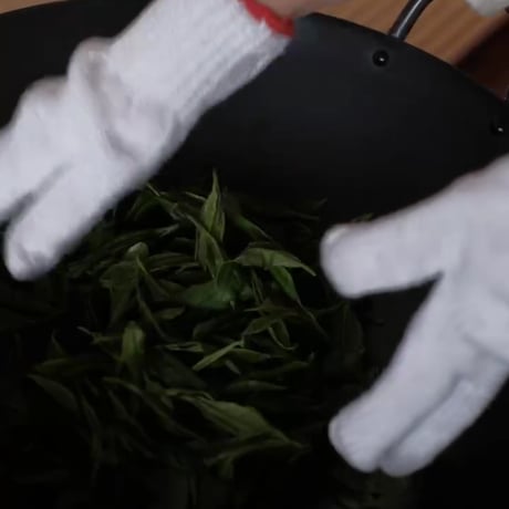 竹　|    2日間　茶摘み・製茶・飲み比べ分析