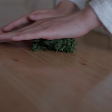 竹　|    2日間　茶摘み・製茶・飲み比べ分析