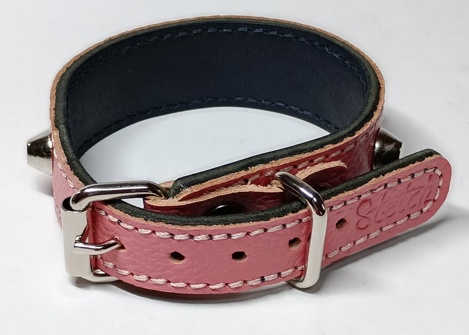 69edc0c8ea1c9250238a2917