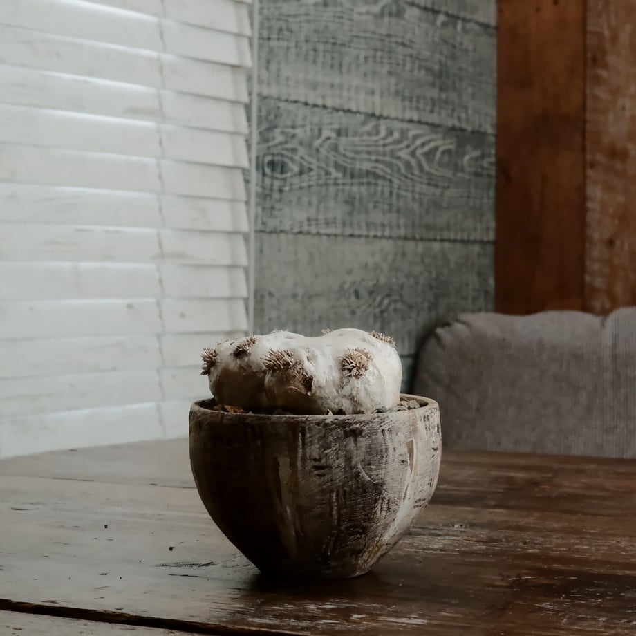 63e8a01ef54f6777e5d9c2d1