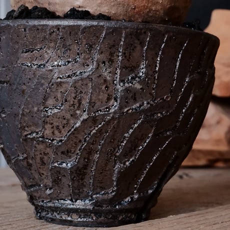 グラキリス φ8.5cm - 象牙宮 - ［No.48］  ×   沼野秀章 作「 black wrap 」3号 植木鉢 笠間焼3