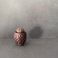 発根済 ユーフォルビア オベサ 19 × S.N.Pot "鎬丸" - horizon - 2号鉢 ［作家  "根本峻吾"］