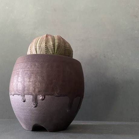 輸入株 オベサ 8.0cm OB-05  ×【 ISOBE - BACHI 】"丸壺型" 笠間焼 3.5号鉢 ［作家 磯部祐介］