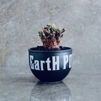 ケラリア ピグマエア No.04  ×   " EartH POWER " DESIGN POT / BLACK