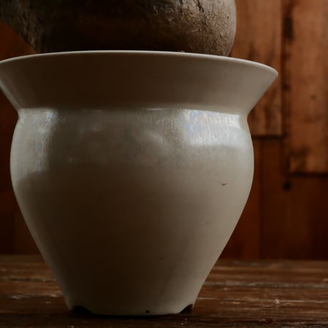 グラキリス M - 象牙宮 -［No.206］  ×   坂本新 作「 LUSTER OVERGLAZE - white pearl -  」3.5号 植木鉢 笠間焼
