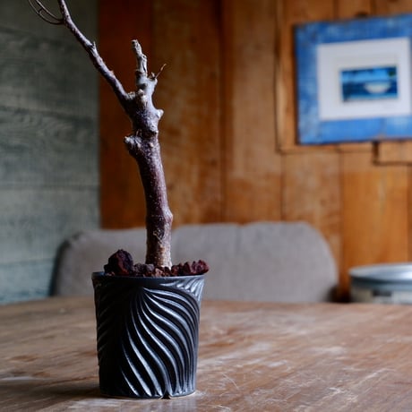 RYUSEN 新里竜子 植物 鉢 植木鉢 RYUSEN 新里竜子 植物 鉢 植木鉢 - メルカリ