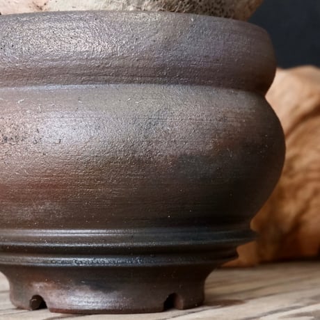 グラキリス φ9cm - 象牙宮 -［No.52］  × 磯部祐介 作「 匣 - kou - 」3号 植木鉢 笠間焼