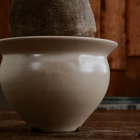 グラキリス - 象牙宮 -［No.158］  ×   坂本新 作「 LUSTER OVERGLAZE - 白虹彩 - white pearl -  」3号 植木鉢 笠間焼