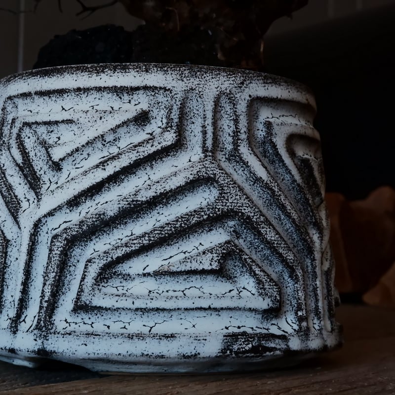 万物想 チレコドン レティキュラーツス［No.03］ × 根本峻吾 作 S.N