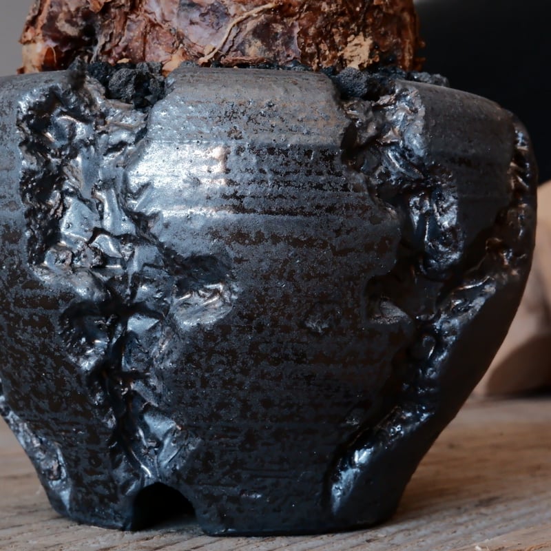 ケラリア ピグマエア［No.09］ × 松野然 【 ZEN 】3号 植木鉢 | Botan