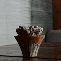 ブレビカウレ M - 恵比寿笑 -［No.33］  ×   沼野秀章 作「 刻ム音 」3.5号 植木鉢 笠間焼