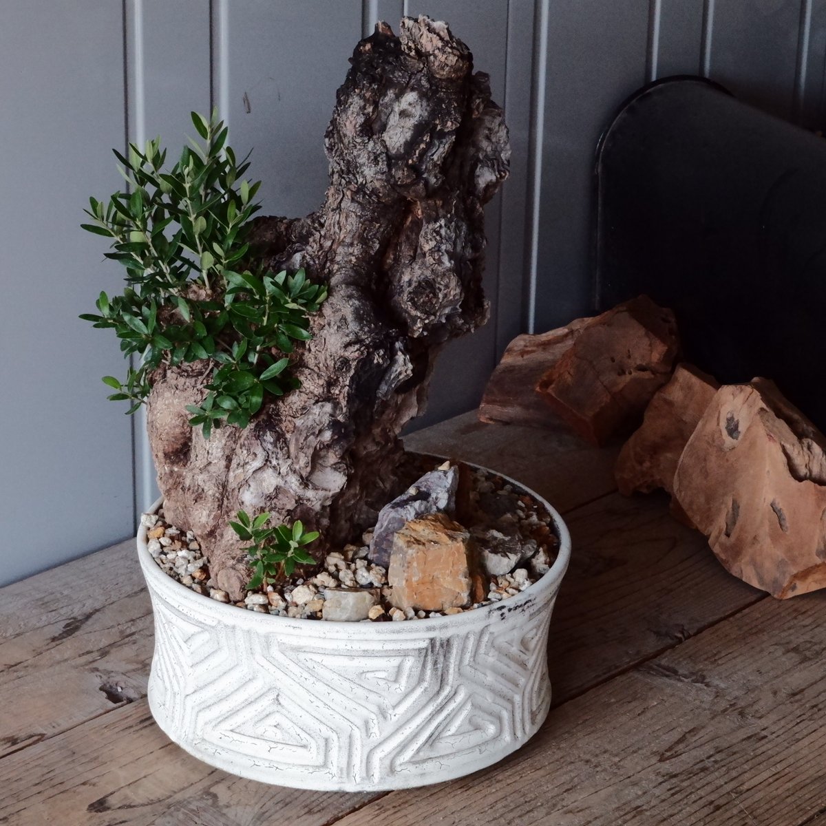 新品未使用】小澤基晴 ぐるぐる浅鉢 7寸