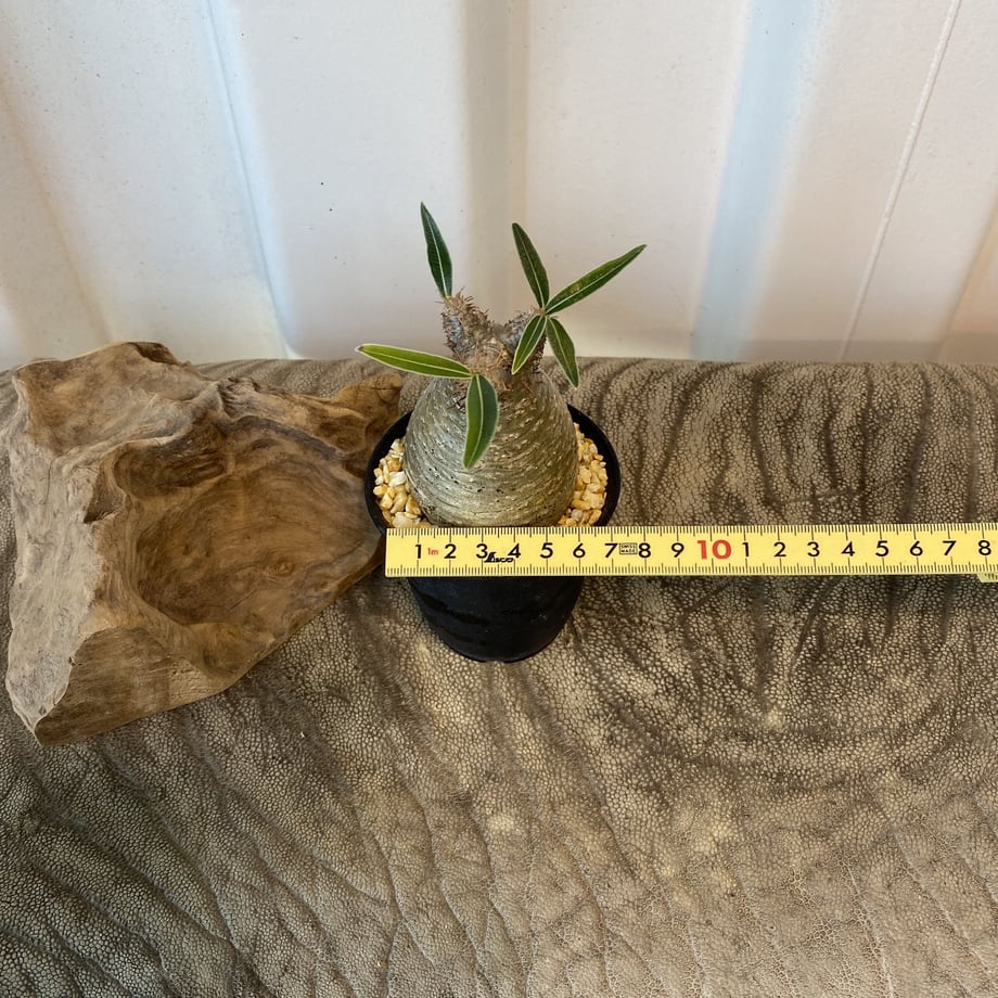 5f75797693f619372a025160