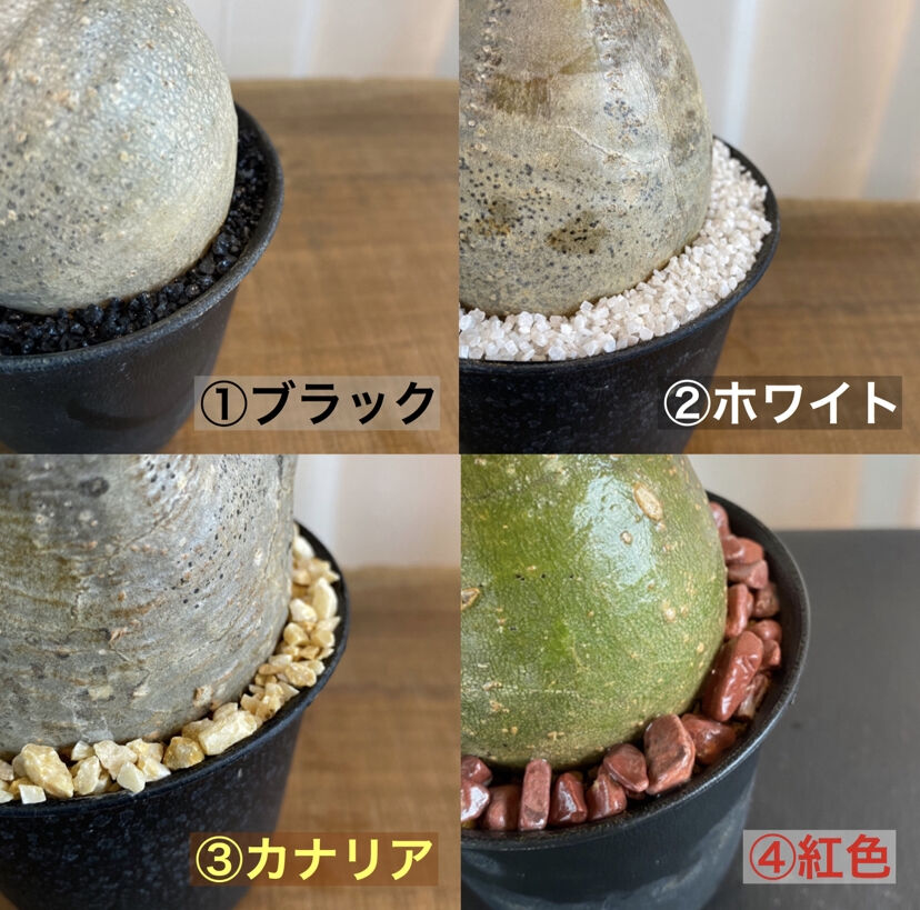 fit=scale-down,w=1200 fit=scale-down,w=1200