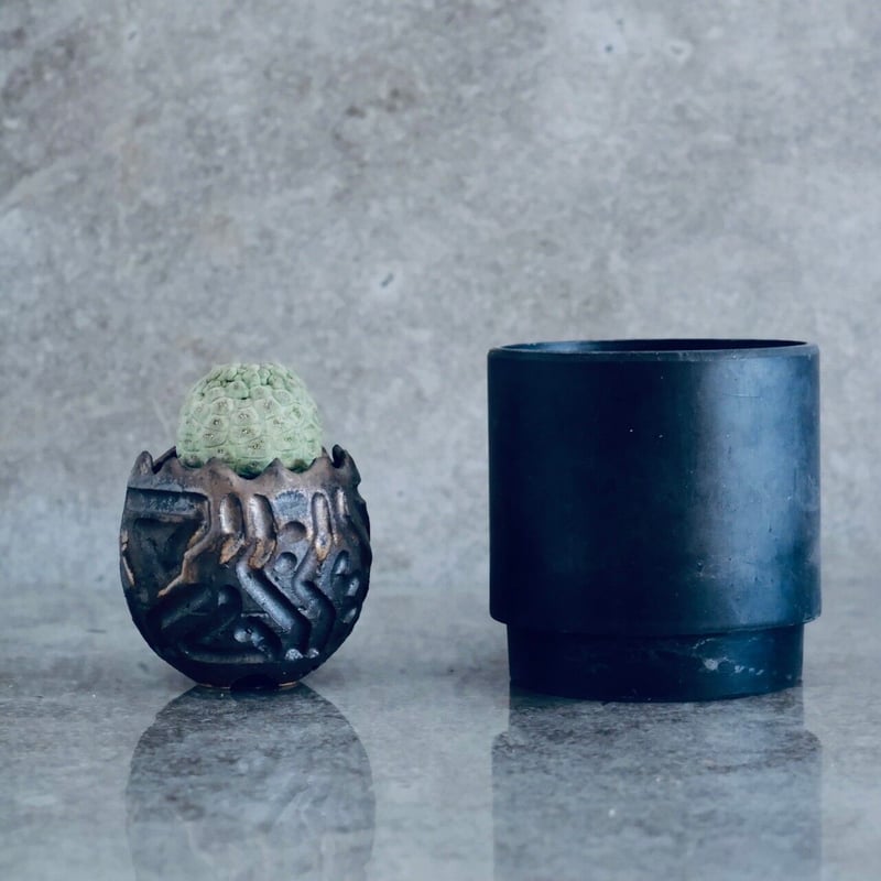 仏頭玉 ラリレアキア カクティフォルメ No.09 × S.N.Pot 