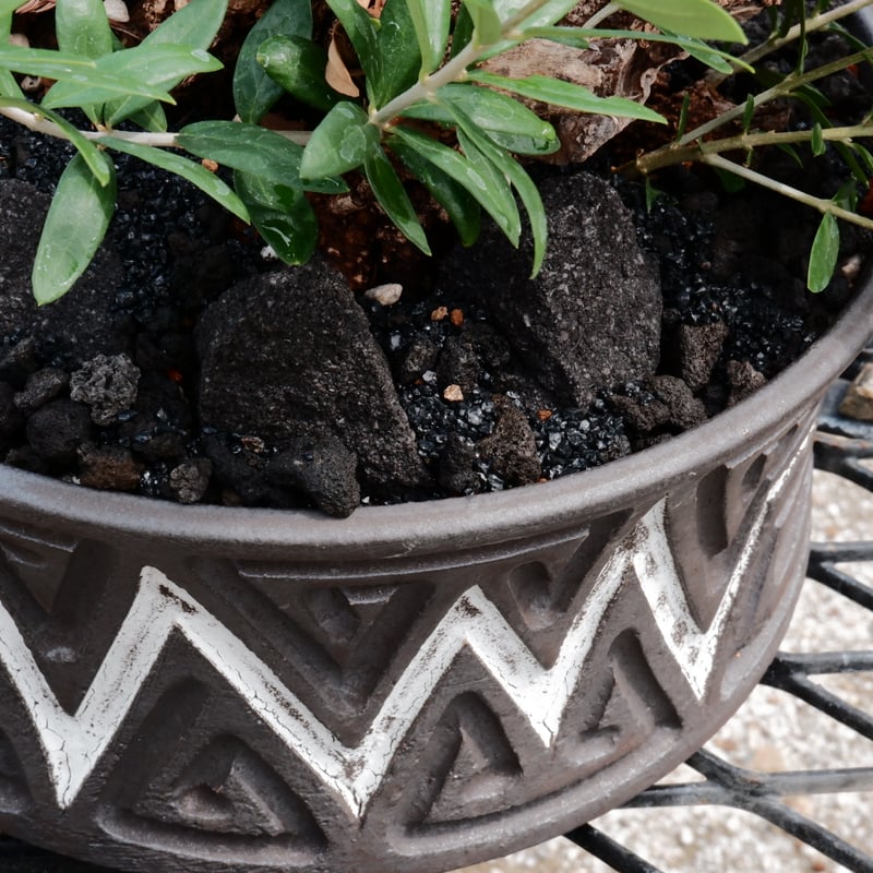 Old Olive 古木オリーブ［No.01］× 根本峻吾 作品【 S.N POT type.