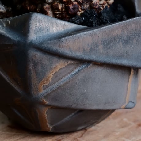 オペルクリカリア パキプス φ11cm［No.26］  ×  根本峻吾 作 S.N POT special「 黒騎士 - kurokishi - 」5号 植木鉢 笠間焼