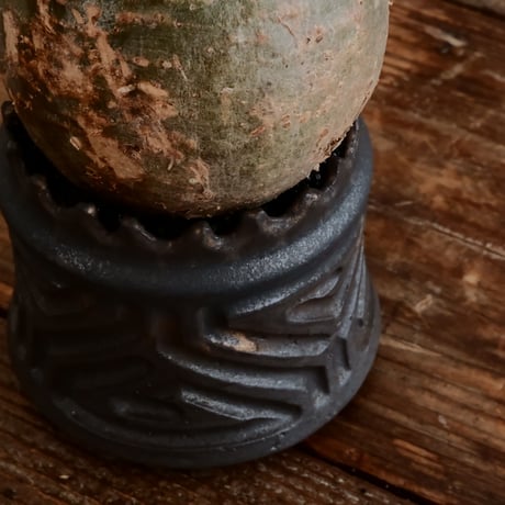 グラキリス - 象牙宮- ［No.170］  ×   根本峻吾 作 S.N POT type.cylinder「 鐡 - 黒焔 - 」3号 植木鉢 笠間焼