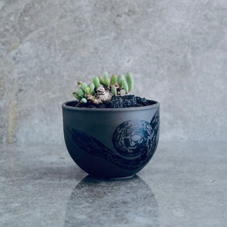 ナッツアートワークス | STORES