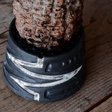 オペルクリカリア パキプス φ 10cm［No.12］  ×   根本峻吾 作 S.N POT  type.cylinder 「 雷電 」3.5号