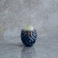 仏頭玉 ラリレアキア カクティフォルメ No.08  ×  S.N.Pot " 鎬丸 " - horizon - 2号鉢［作家 根本峻吾 ］