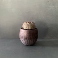 輸入株 オベサ 8.3cm OB-07  ×【 ISOBE - BACHI 】"丸壺型" 笠間焼 3.5号鉢 ［作家 磯部祐介］
