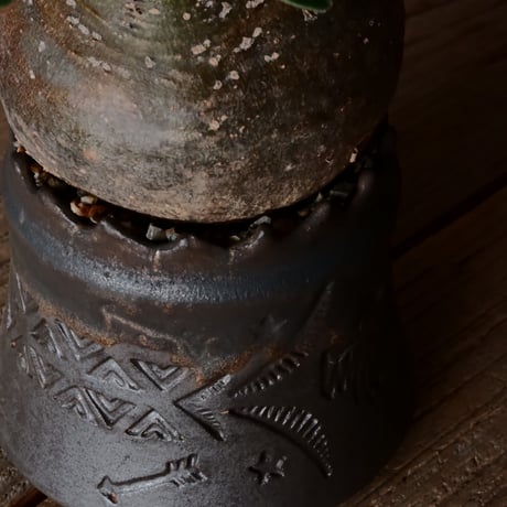 グラキリス φ9.5cm  - 象牙宮- ［No.227］  ×   根本峻吾 作 S.N POT type.cylinder「 刻印  - kokuin -」3号 植木鉢 笠間焼