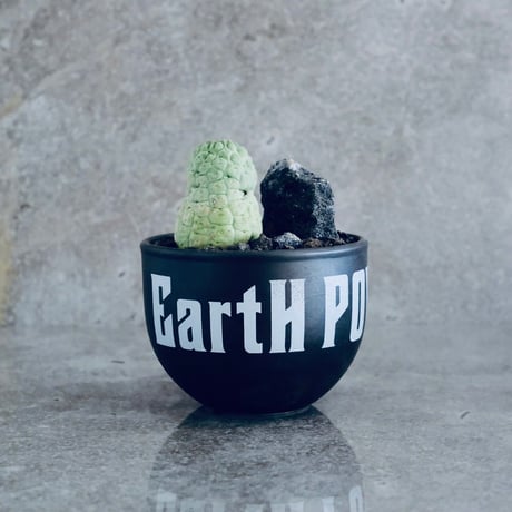 ナッツアートワークス | STORES