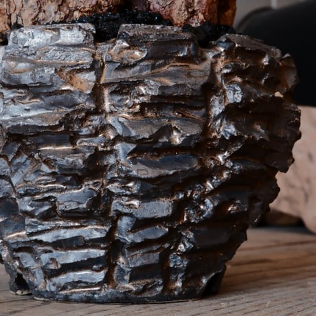 ケラリア ピグマエア［No.12］  ×  松野然 【 ZEN 】3.5号 植木鉢