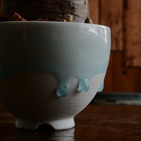 グラキリス - 象牙宮 -［No.117］  ×  小林 哲也 作 「雫」- bowl type - 4号 植木鉢