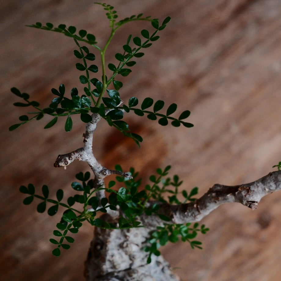 637b1dae211ac36134815610