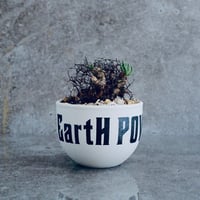 チレコドン  レティキュラーツス 万物想 No.01  ×   " EartH POWER " DESIGN POT / WHITE