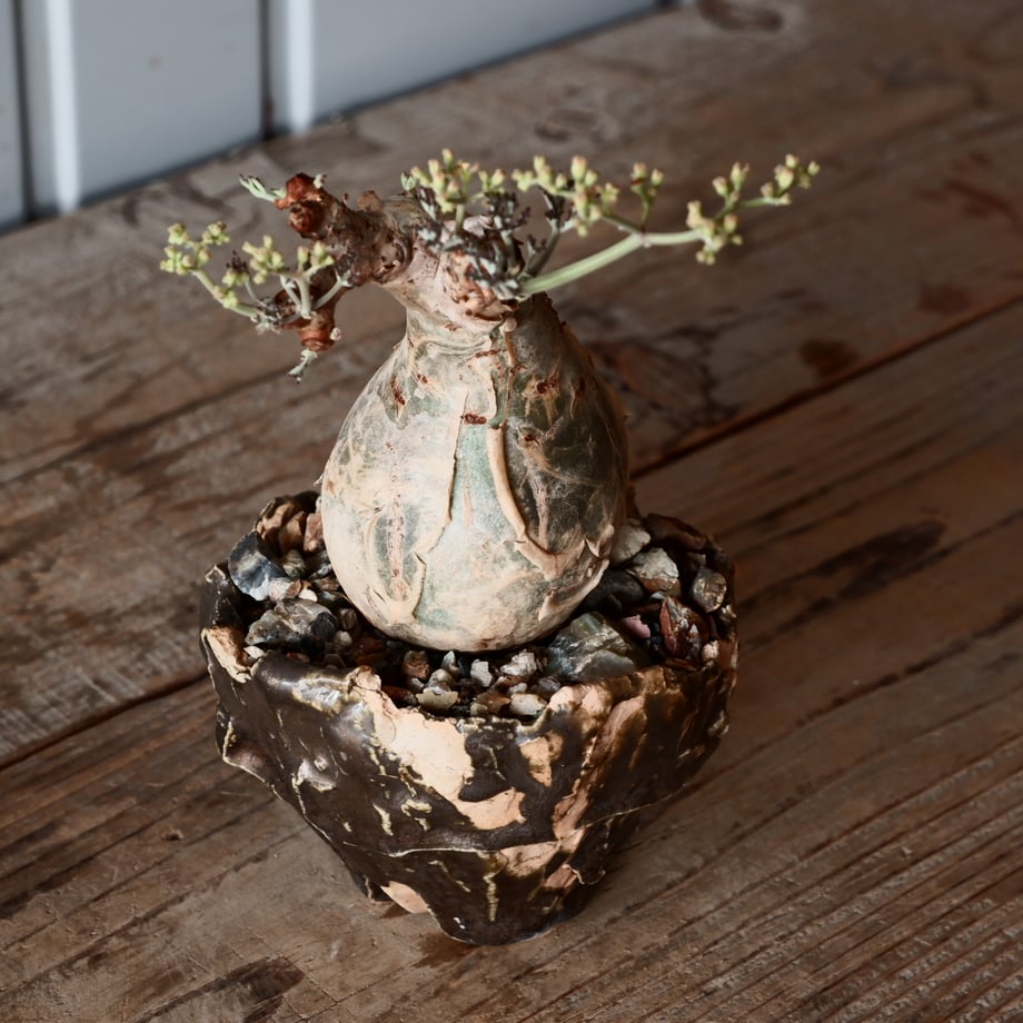 68b444b342133e160ce4debe
