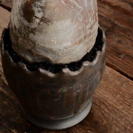 グラキリス φ8cm - 象牙宮 - ［No.64］  ×   根本峻吾 作 S.N POT type.round「 黒焔 - kokuen - 」3号 植木鉢 笠間焼