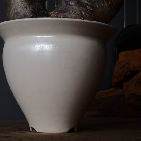 マカイエンセ φ15cm - 魔界玉 -［No.91］  ×  坂本新 作【 LUSTER OVERGLAZE - white pearl - 】 5号 植木鉢 笠間焼