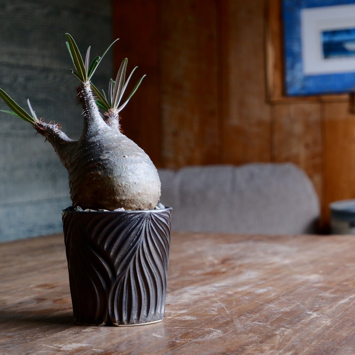 グラキリス - 象牙宮 - size S［No.42］ × 新里竜子 作 「RYUSEN