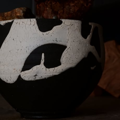 ケラリア ピグマエア［No.79］  × 沼野秀章 作品【  Black Wrap 】3号 植木鉢 笠間焼