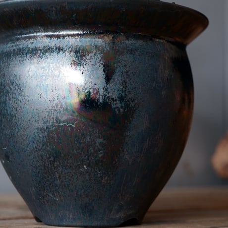 パキポディウム ブレビカリックス 輸入株［No.21］  × 坂本新 作【 LUSTER - black opal - 】 3.5号 笠間焼 植木鉢