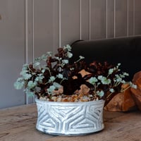 【低木】ペラルゴニウム ミラビレ［No.05］  ×   根本峻吾 作 S.N POT type.slim low「 月光ノ鐵」 6号 浅鉢 植木鉢
