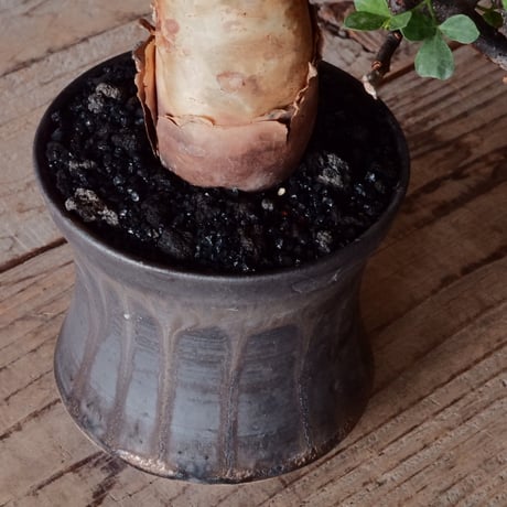 コミフォラ カタフ ピュア［No.02］  × 杉山悠 作 φ10.5cm 植木鉢 笠間焼
