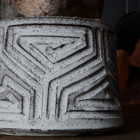 中株 グラキリス φ12.5cm  - 象牙宮- ［No.84］  ×   根本峻吾 作 S.N POT type.cylinder「 月光ノ鐵」4.5号 植木鉢 笠間焼