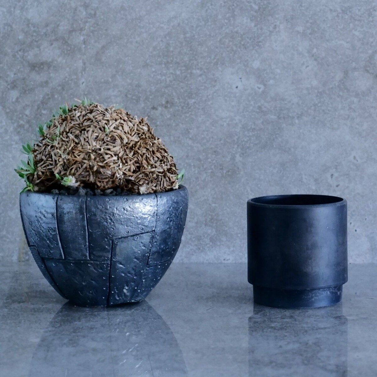 オトンナ レトロルサ No.20 × Rivet - 銀彩 - round 5号鉢［ 作家