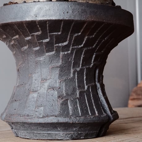 【綴化】グラキリス φ9.5cm - 象牙宮 - ［No.89］  ×   沼野秀章 作「 black wrap 」4号 植木鉢 笠間焼