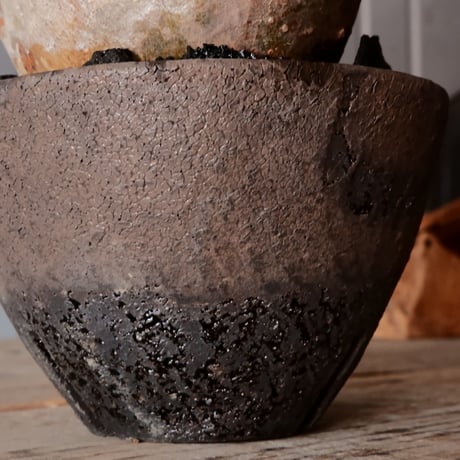 グラキリス  M - 象牙宮 - ［No.216］  ×   沼野秀章 作「 black wrap 」4号 植木鉢 笠間焼
