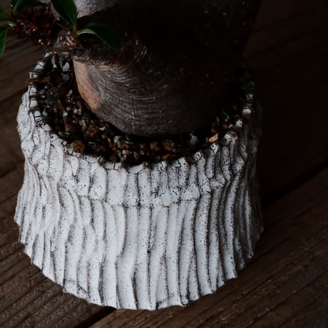 マカイエンセ φ8cm - 魔界玉 - ［No.31］  ×   根本峻吾 作 S.N POT type.cylinder「 月光ノ爪牙」3.5号 植木鉢 笠間焼