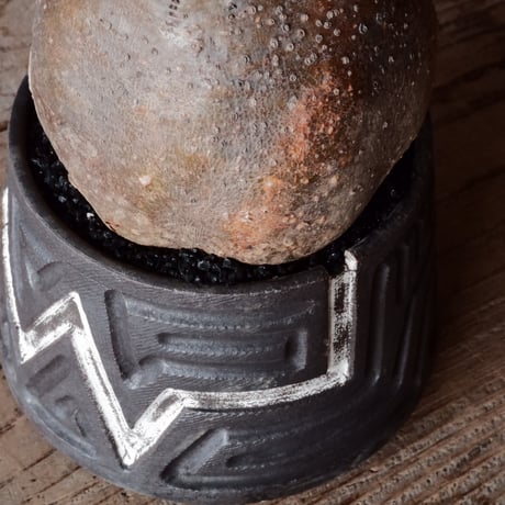 グラキリス φ10cm  - 象牙宮- ［No.80］  ×   根本峻吾 作 S.N POT type.cylinder「 迅雷」3.5号 植木鉢 笠間焼