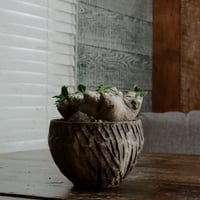 ブレビカウレ M - 恵比寿笑 -［No.65］  ×   沼野秀章 作「 刻ム音 」3.5号 植木鉢 笠間焼